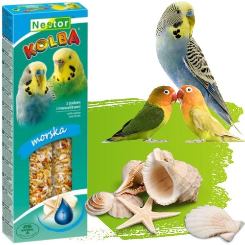Parakeets sticks seashells - parakeets,