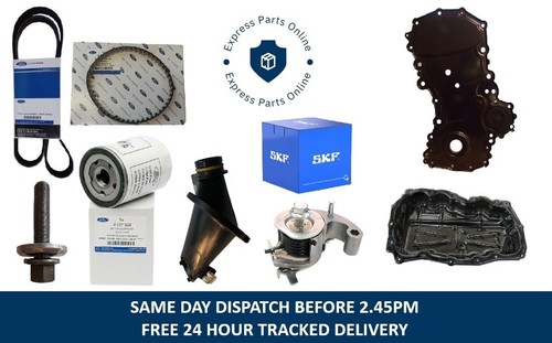 Wet belt kit oil pump - wet,