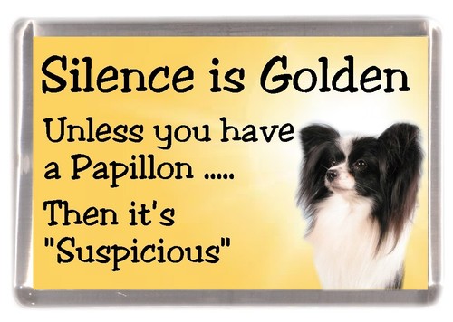 Papillon dog - papillon, (butterfly)