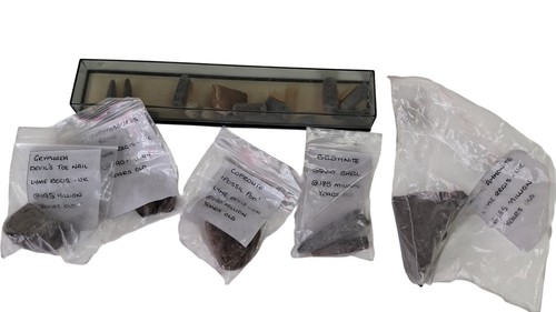 Fossil collection from lyme - fossil,