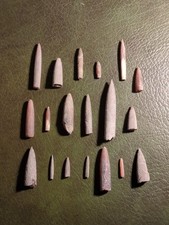 Fossil Belemnites, Jurassic, UK, X19 Specimens, Teaching Set, Geology.