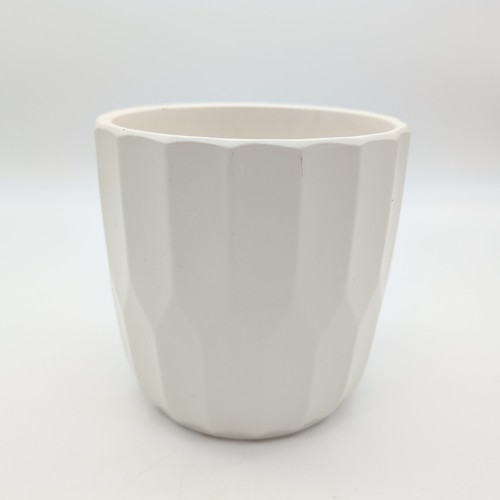 Terracotta indoor plant - indoor,