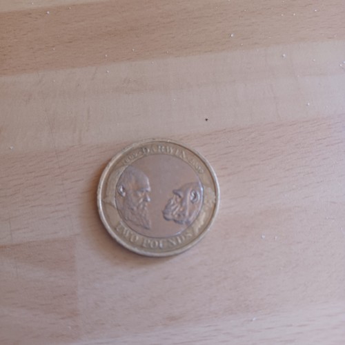 Rare charles darwin 1809 - charles, 1809-2009