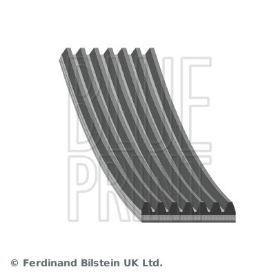 Ribbed belt blue print - belt,