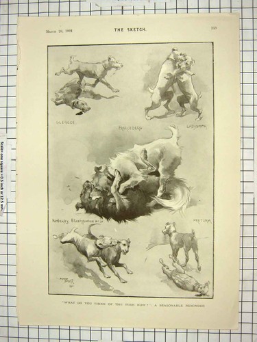 Original old antique print - old,