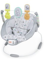 Bright Starts Winnie The Pooh Baby Bouncer