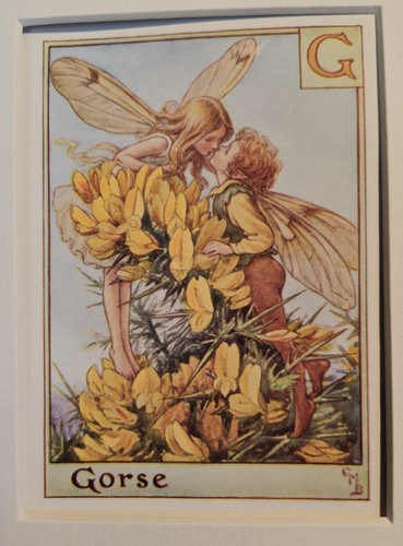 Vintage flower fairies - fairies, &