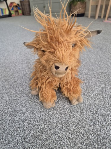 Living nature highland cow - living,