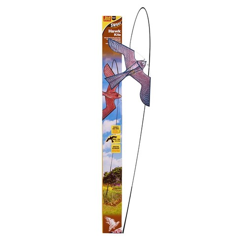 Defenders hawk kite bird - defenders,