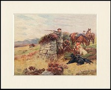 FLAT COATED RETRIEVER SHOOTING