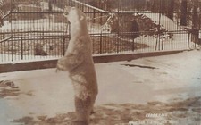 RPPC Copenhagen Denmark Zoo