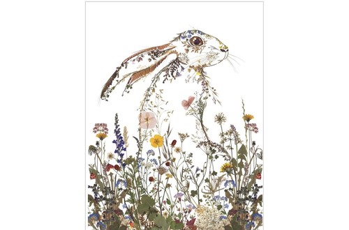 Wild press helen - by,