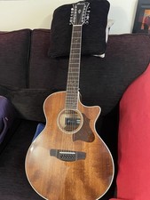 Ibanez Ae2412-nt 12 String