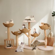 91-120cm Tall Solid Wood Cat