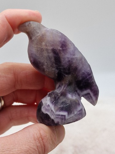Dream amethyst raven - dream,