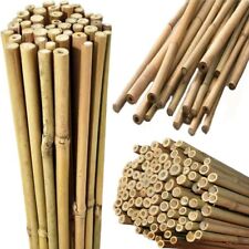 Strong Heavy Duty Thick Bamboo Canes Plant Flower Support Garden 2FT - 7FT