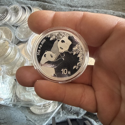 2023 china panda yuan 30g - panda,