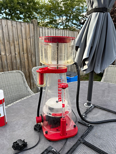 Red sea reef skimmer - red, 600
