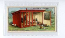 (Jj6253) OGDENS,POULTRY REARING & MANAGEMENT,HEN COOP WITH NURSERY,1923,#11