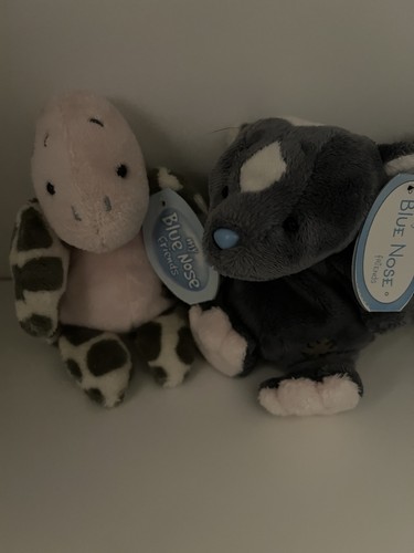 Blue nose friends - my,