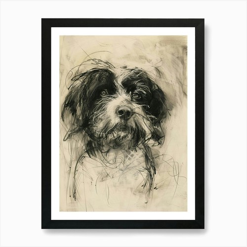 Polish lowland sheepdog - polish,