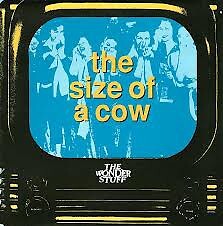 The wonder stuff - the,