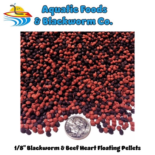 Blackworm beef heart 8 - blackworm,