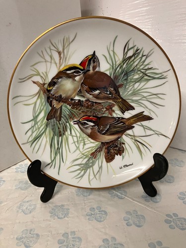 Vintage songbirds europe - vintage, of