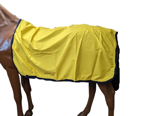 Waterproof exercise sheet rug - exercise,