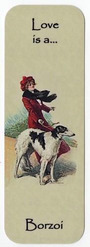 Borzoi dog beautiful - borzoi,