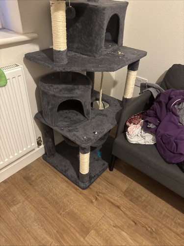 Cat tree tower - cat,