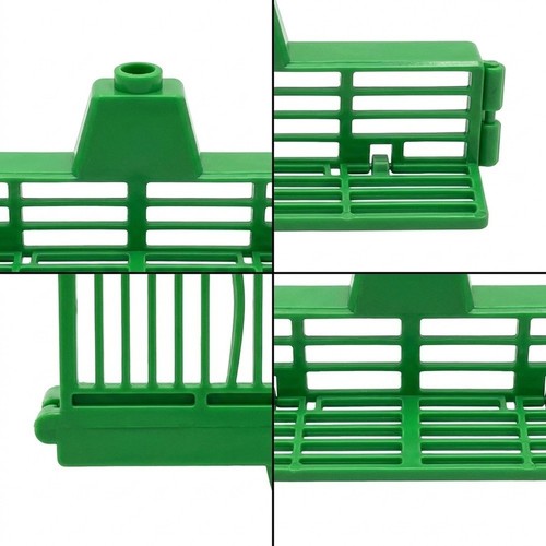 For most beehives queen - for,