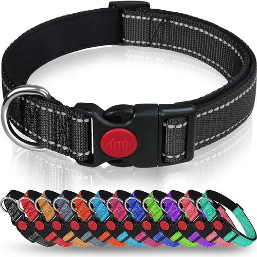 Dog collar reflective - collar,