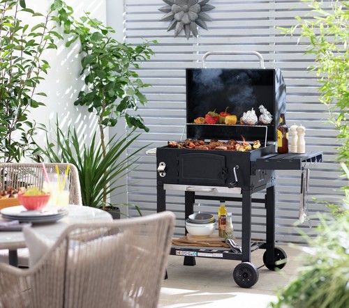 Trolley charcoal bbq outdoor - charcoal,