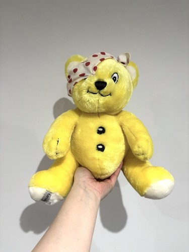 Pudsey bear children - bear, in