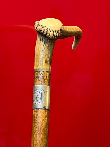 Deer antler handle wood oak - antler,