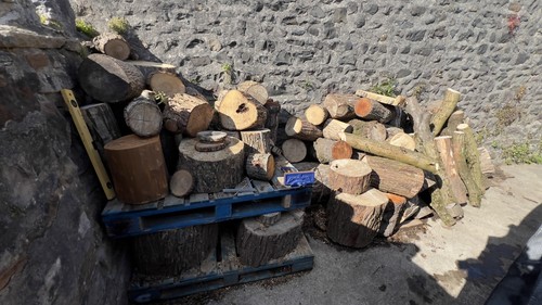 Tree stumps rustic stools - tree,