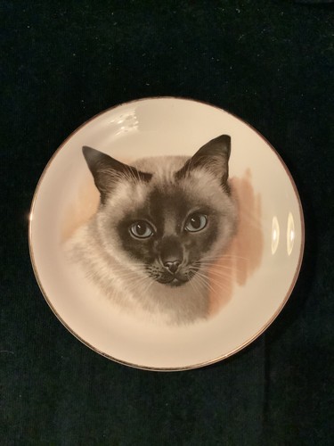 Siamese cat plate liverpool - siamese,