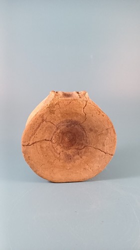 Fossil wale vertebrae around - wale,