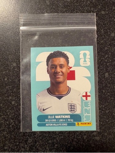 Panini fifa world cup - fifa,