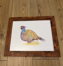 Framed Pheasant Artwork Wall