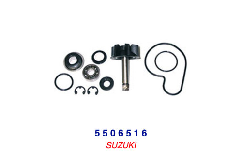 5506516 water pump overhaul