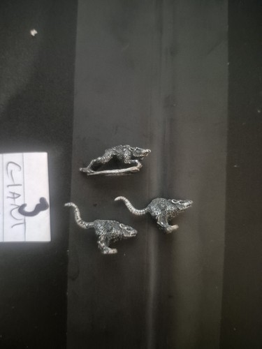 Citadel giant rats - giant, metal