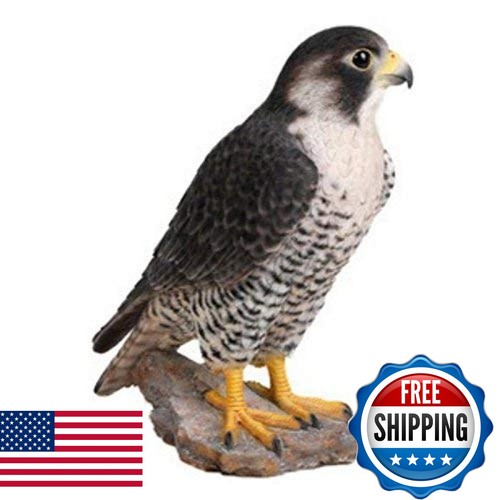 Line gift ltd peregrine - gift,