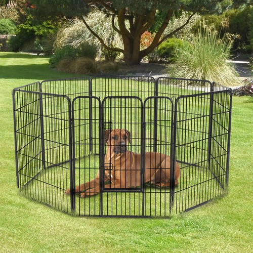 Dog playpen puppy - dog,