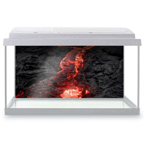 Fish tank background 90x45cm - 90x45cm,