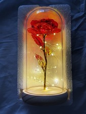 LED Rose Glass Dome | Romantic