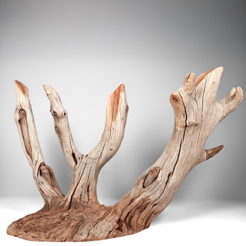 Large manzanita - large, 23.5"