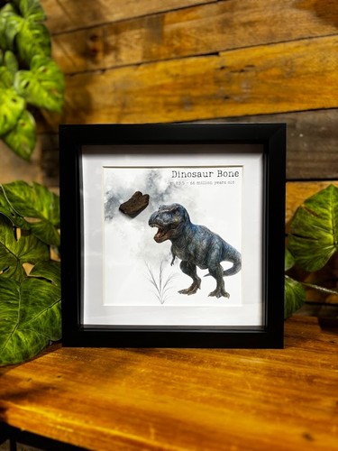 Genuine dinosaur bone fossil - dinosaur,