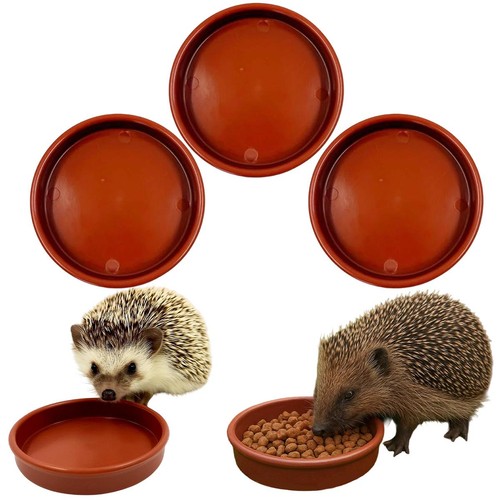 Hedgehog bowl for food - hedgehog,